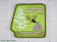 Click to enlarge 2016 Scoutrees